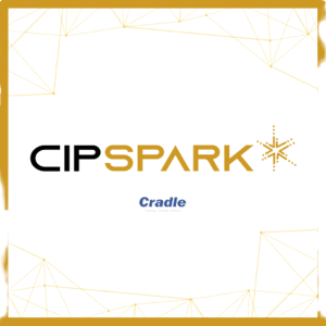 CIP SPARK Grant 